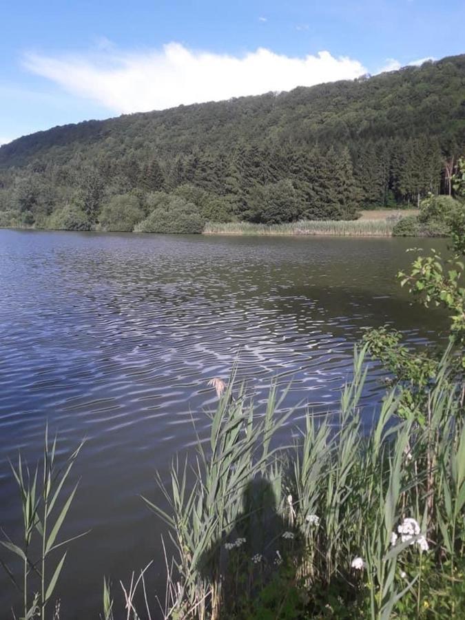 Douce Vallee Vaux-les-Saint-Claude Bagian luar foto